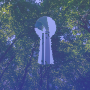 Greenwashing